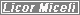 Billing software